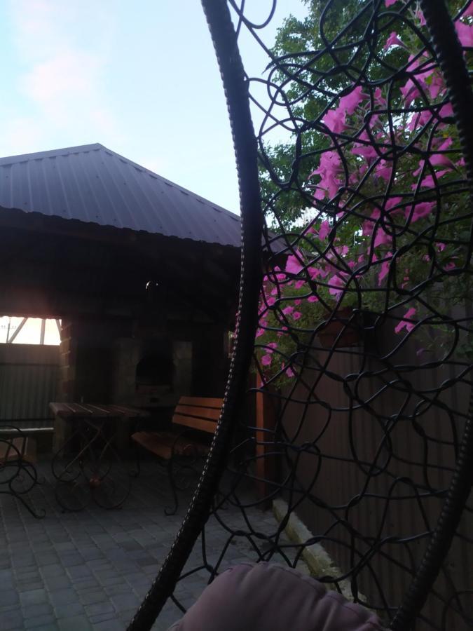 Чорний Лелека Svityaz' Exterior photo