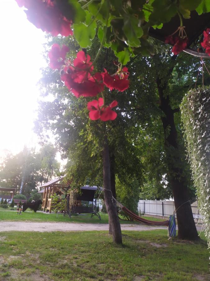 Чорний Лелека Svityaz' Exterior photo